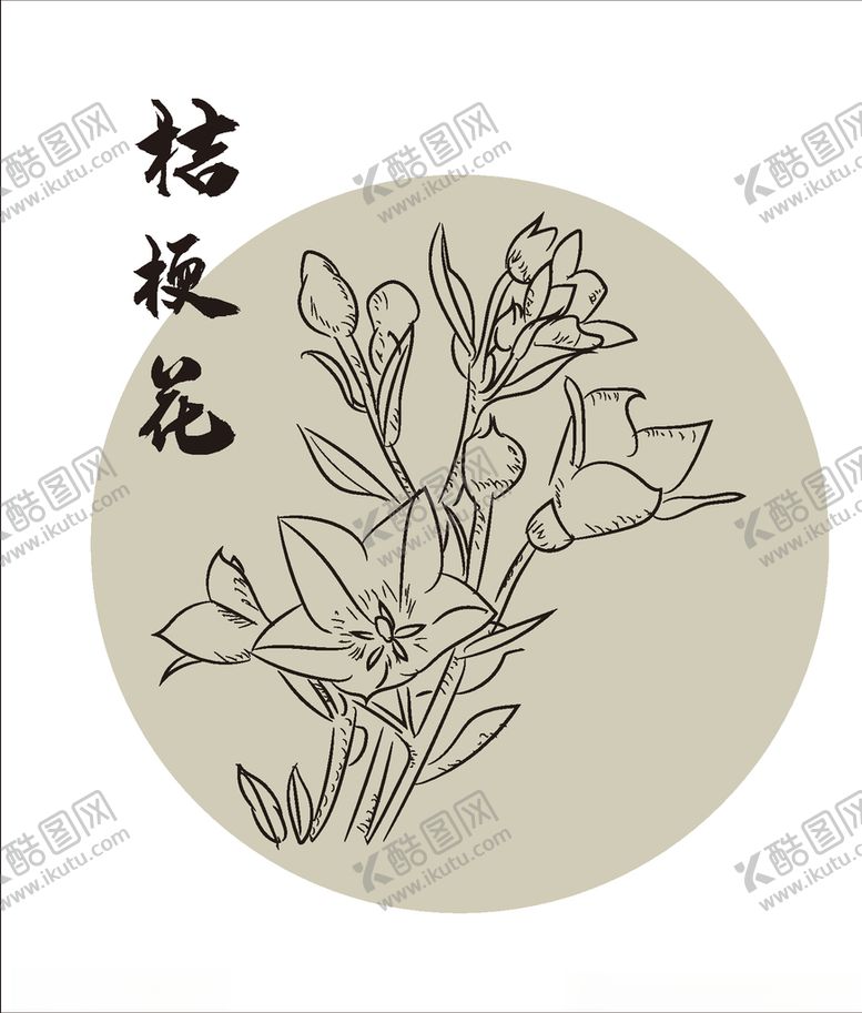 编号：59044310260526091339【酷图网】源文件下载-手绘桔梗花