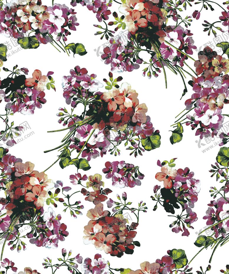 编号：89503406242032372307【酷图网】源文件下载-古驰天竺葵