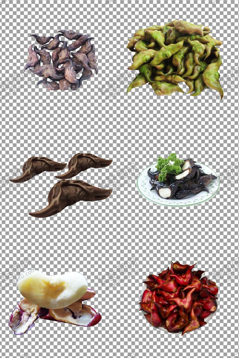 编号：96571006241733048711【酷图网】源文件下载-菱角