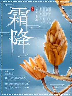 霜降围脖微信刷屏女孩