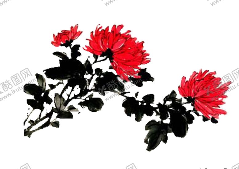 编号：63026205051333505068【酷图网】源文件下载-菊花装饰