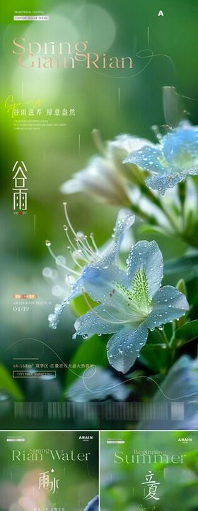 谷雨雨水立夏杜鹃花海报