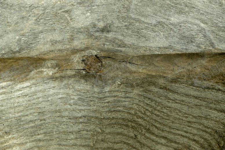 编号：31962405110304317583【酷图网】源文件下载-木纹