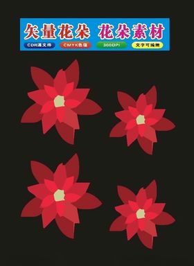 花朵时尚畅想