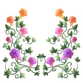 牵牛花插画
