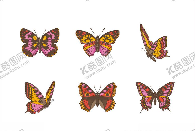 编号：93001709261401033925【酷图网】源文件下载-蝴蝶