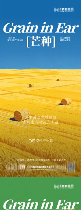 芒种二十四节气节日海报麦芒麦田