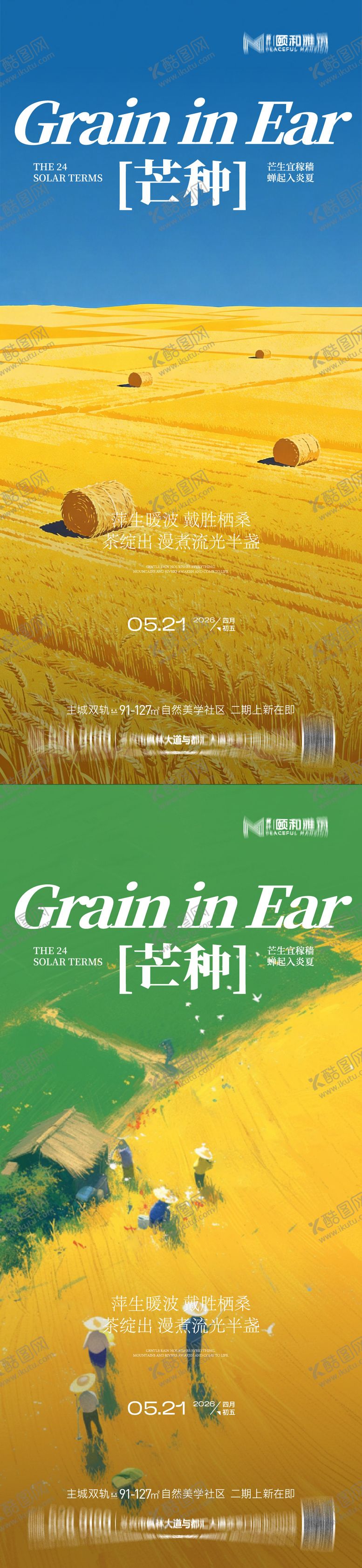 编号：41997405250245143322【酷图网】源文件下载-芒种二十四节气节日海报麦芒麦田