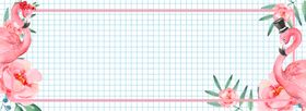 清新夏季植物海报banner