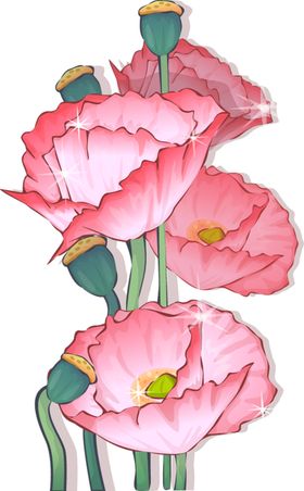 中国风荷叶荷花绘画