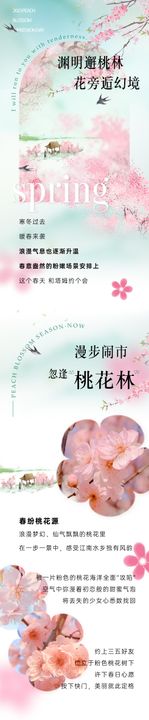 春纷桃花源长图