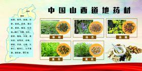 中药材版面