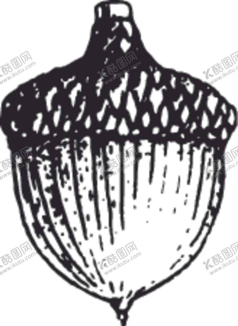 编号：36996709270910009331【酷图网】源文件下载-植物果实系列种子