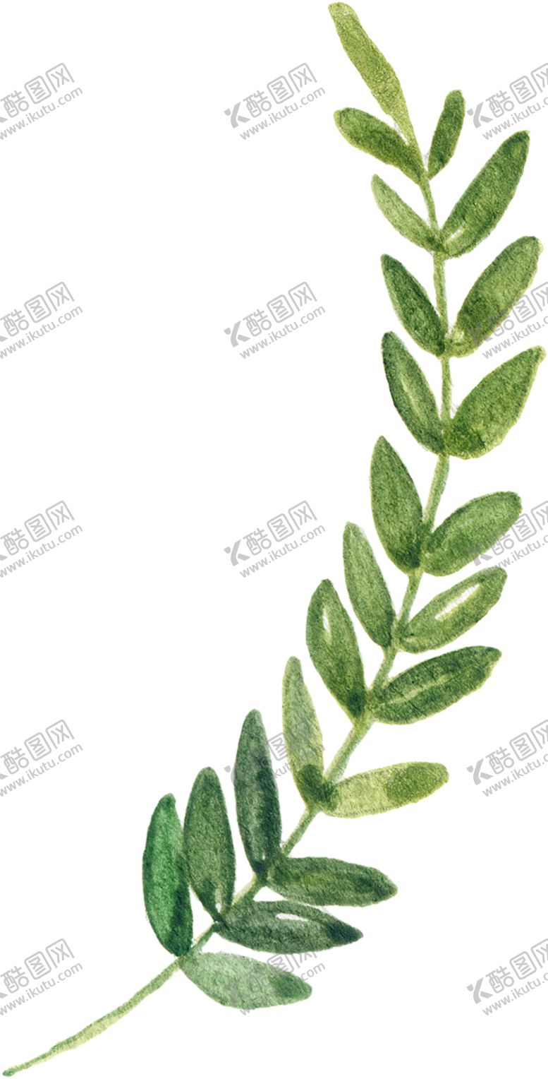 编号：30811910270310211687【酷图网】源文件下载-绿色植物