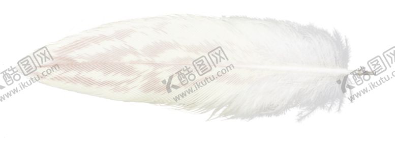 编号：84008409250155428728【酷图网】源文件下载-白色羽毛漂浮素材