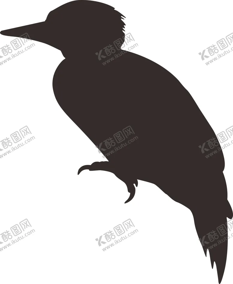 编号：20832204102124245655【酷图网】源文件下载-鸟剪影