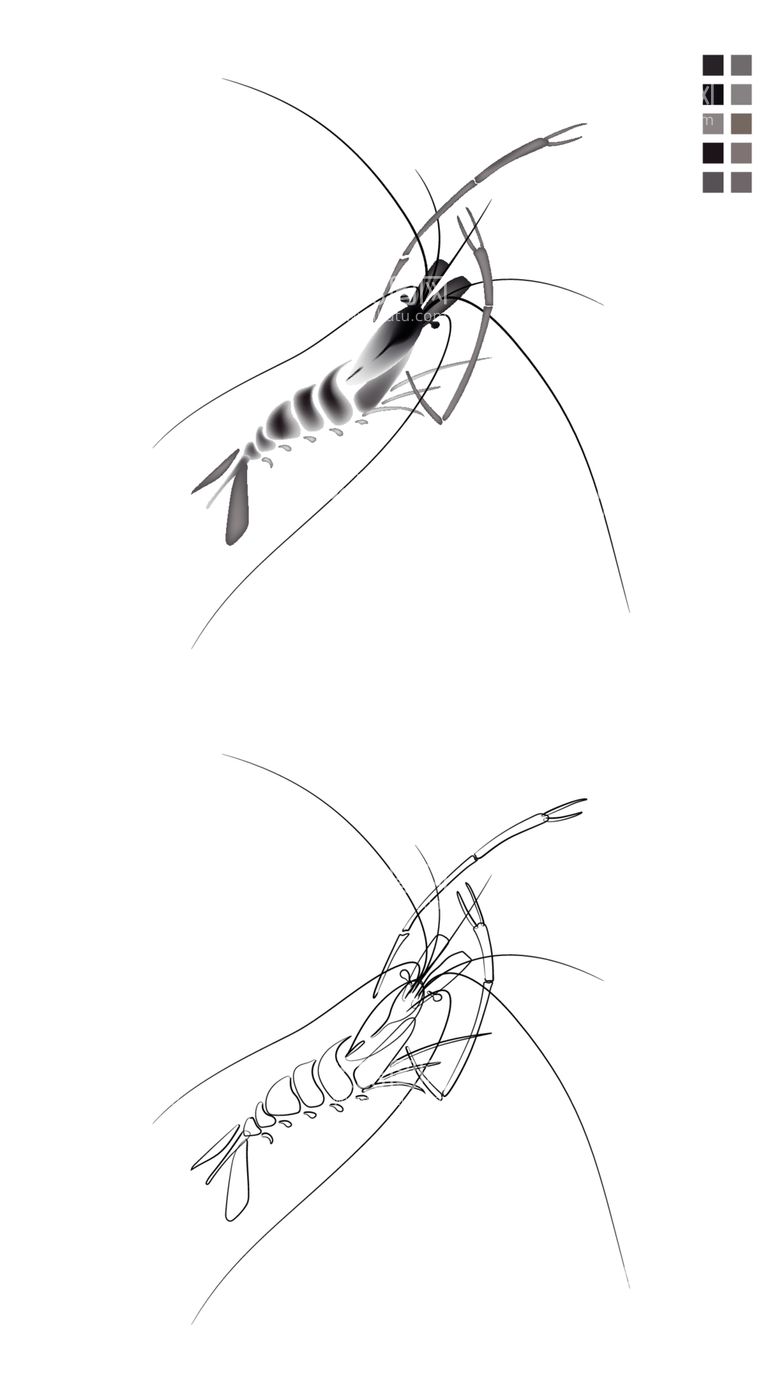 编号：23161612212318113689【酷图网】源文件下载-水墨虾