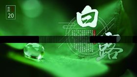 白露节气海报二十四候