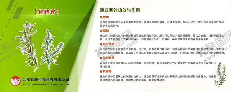 编号：89797512091553034106【酷图网】源文件下载-迷迭香企业文化墙背景墙