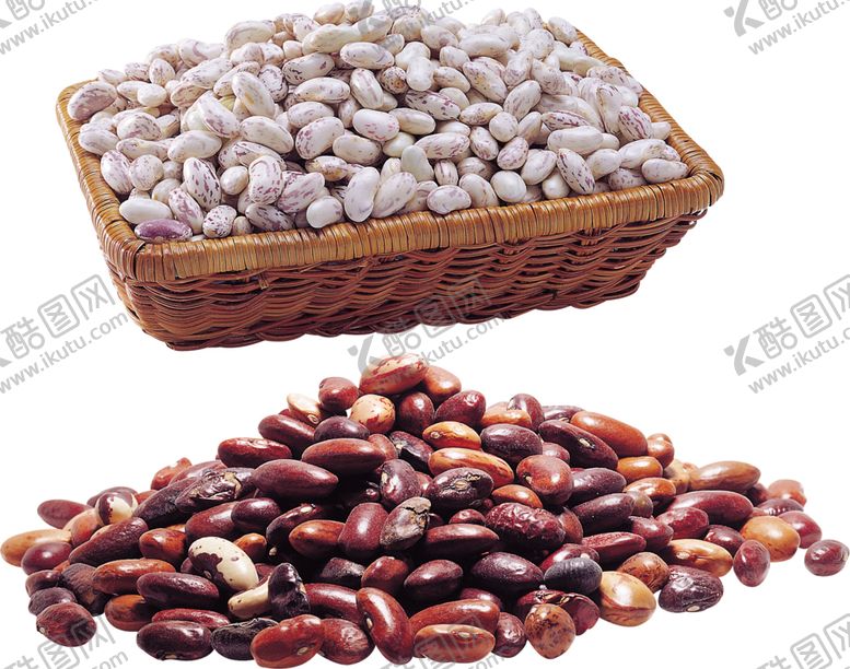 编号：63132609201636243240【酷图网】源文件下载-豆子