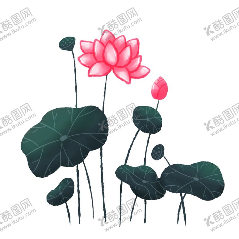 编号：65858104200351503787【酷图网】源文件下载-荷花素材