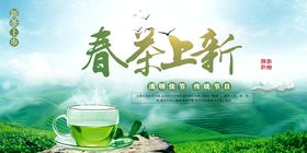 春茶上新