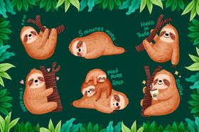 可爱树懒群插画