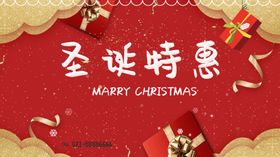 圣诞特惠