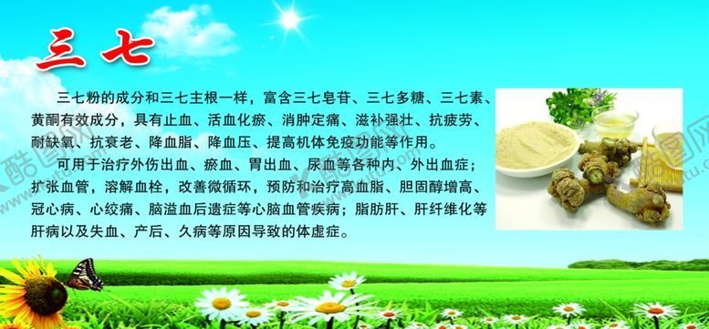 编号：50471307091826383171【酷图网】源文件下载-三七海报