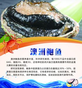 澳洲鲍鱼