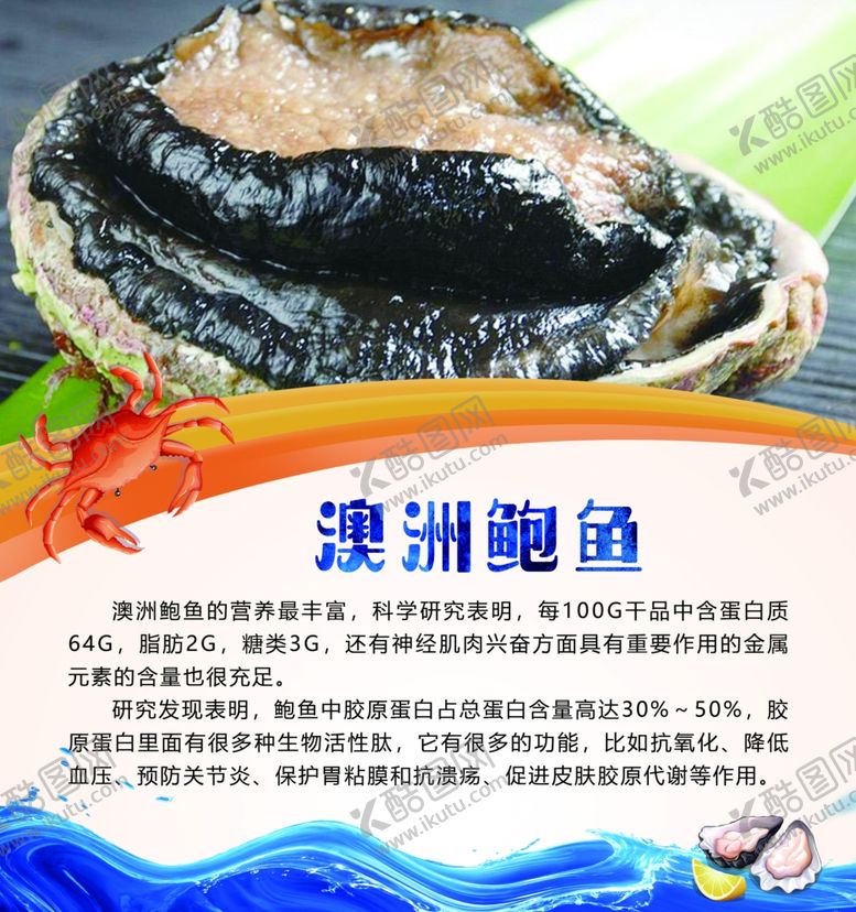 编号：57579809300657511451【酷图网】源文件下载-澳洲鲍鱼