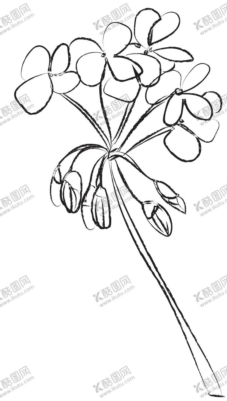 编号：65229605130507284758【酷图网】源文件下载-手绘植物花卉