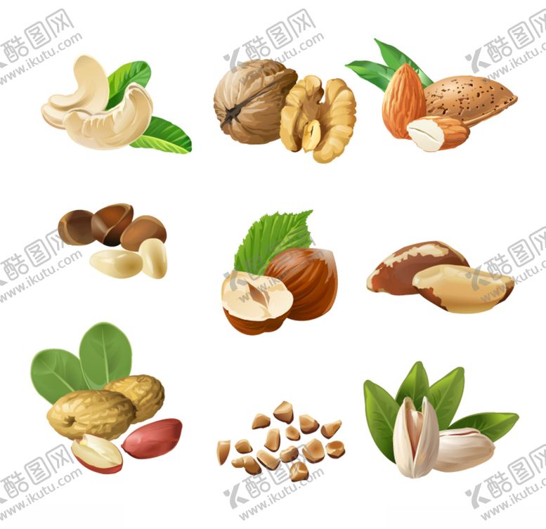 编号：84325409230724095210【酷图网】源文件下载-手绘核仁插画