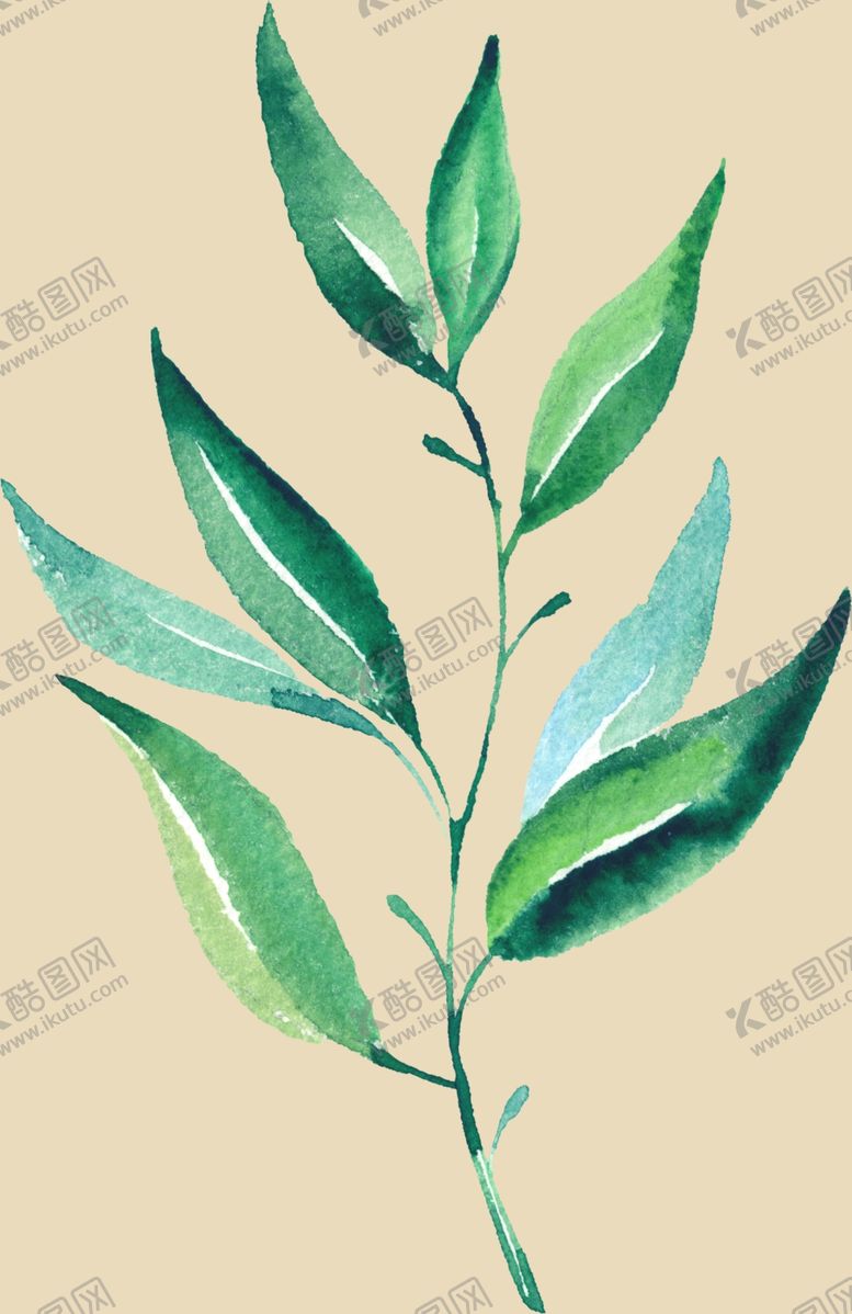 编号：64916607012327248300【酷图网】源文件下载-绿叶