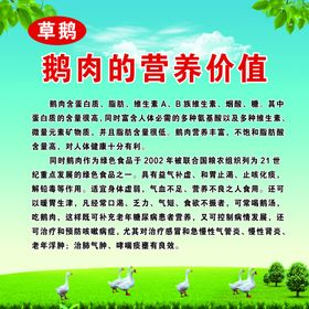 鹅肉 白切额 卤鹅 海报