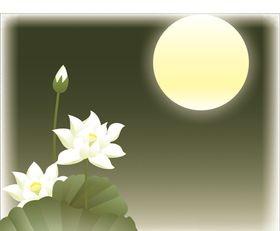 荷叶明月