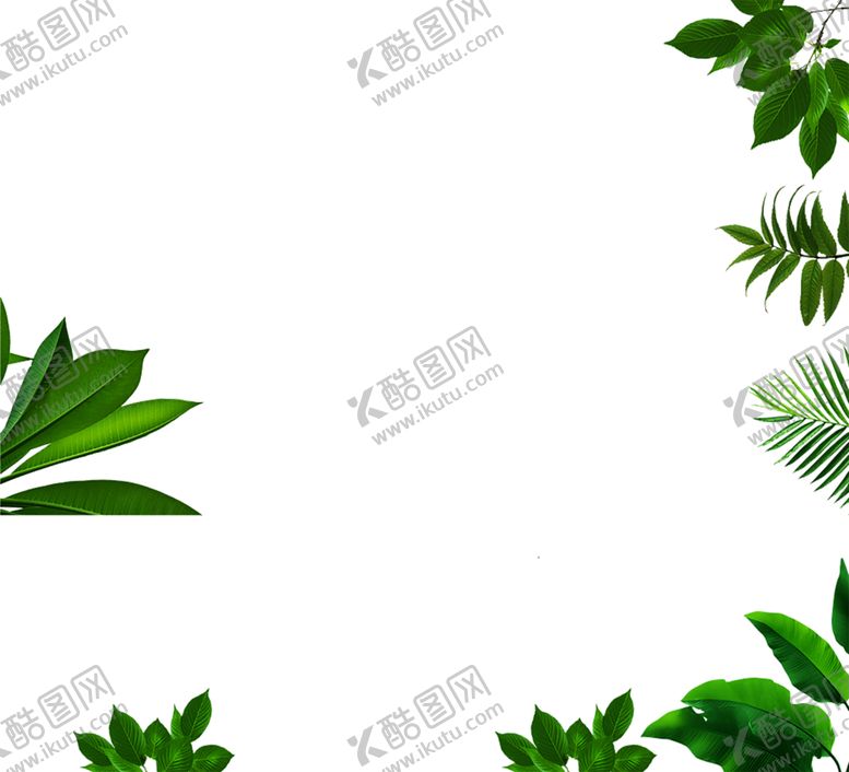 编号：80063107090620064474【酷图网】源文件下载-花边背景