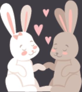 情侣兔子