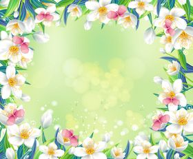 花蕊素描