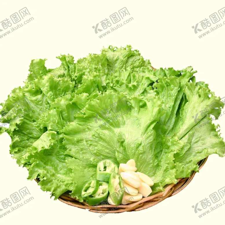 编号：42273506250154299946【酷图网】源文件下载-一篮子生菜