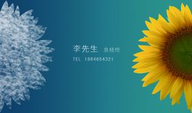 向日葵烟云名片