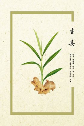 生姜