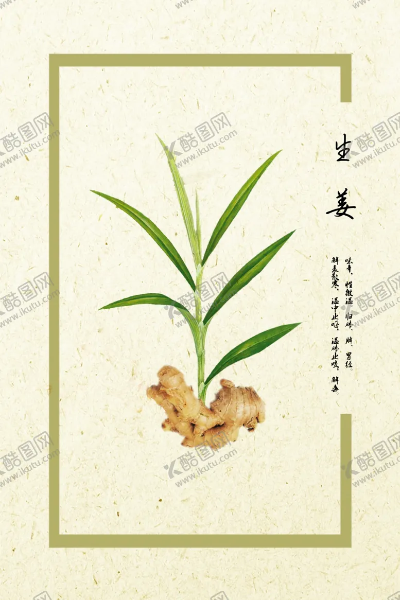 编号：32073406252036443592【酷图网】源文件下载-生姜