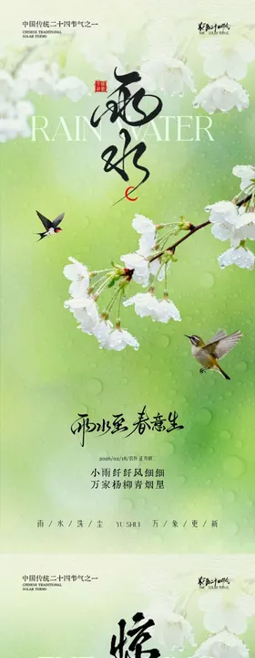 雨水节气简约意境海报