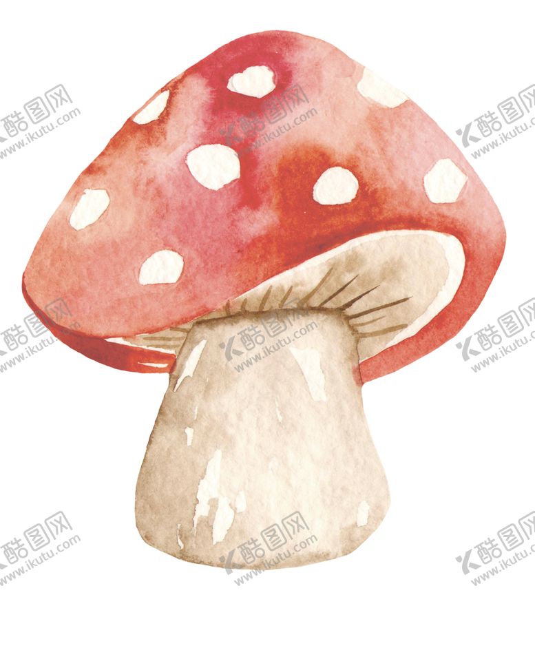 编号：96298306281339068447【酷图网】源文件下载-秋天水彩插画森林元素