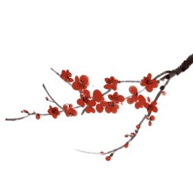 梅花素材
