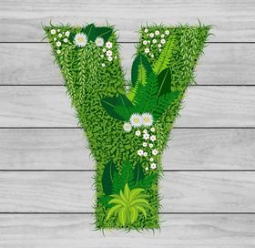 字母Y