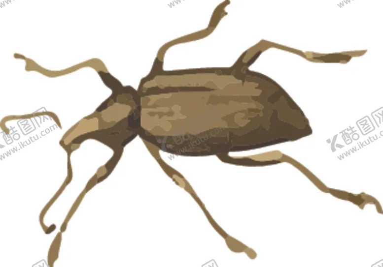 编号：52525806290142069470【酷图网】源文件下载-甲虫昆虫插画
