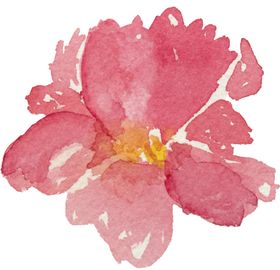 芍药牡丹花型家纺