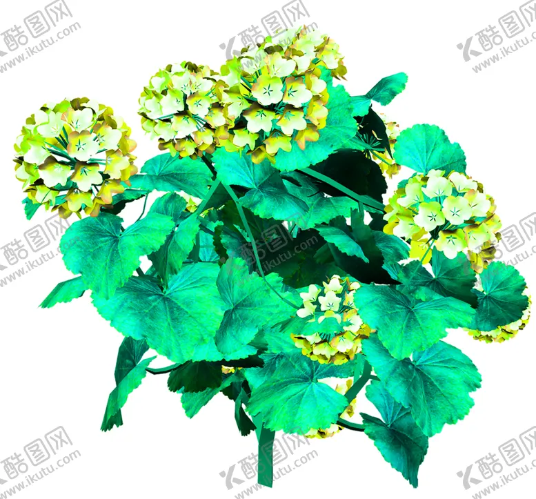 编号：86922706241008152976【酷图网】源文件下载-花素材